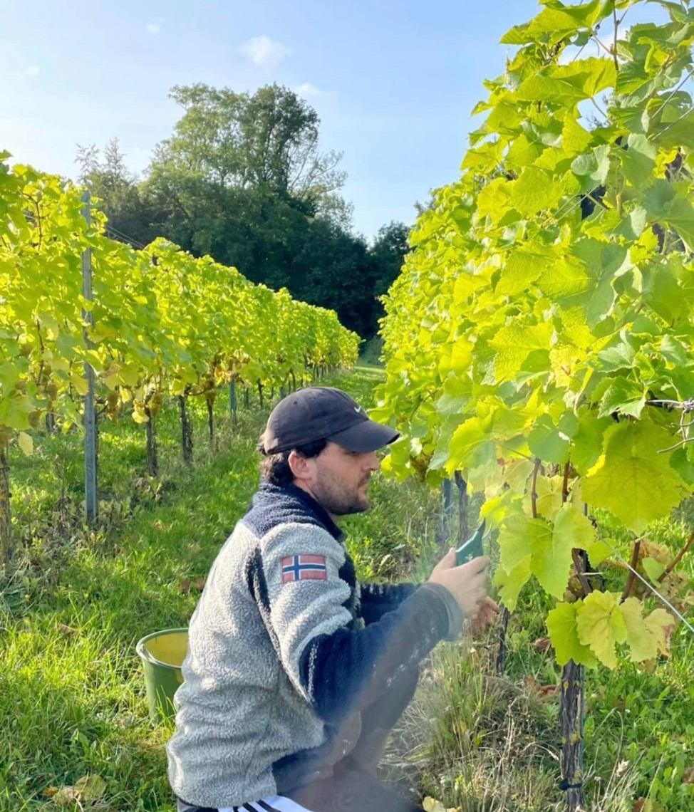 Des apprentis d’un lycée agricole découvrent le commerce des vins et spiritueux sous d’autres latitudes