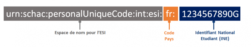 L’identifiant étudiant européen, un moyen fiable d’accéder à des services dans toute l’Europe