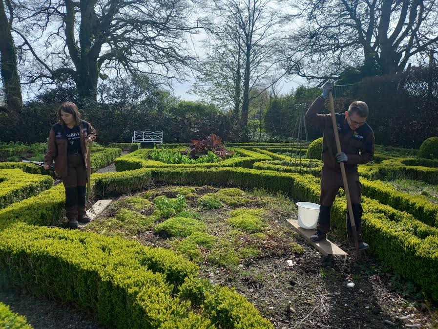 « J’ai appris des techniques de bouturage très naturelles pour que les plantes résistent mieux aux maladies »
