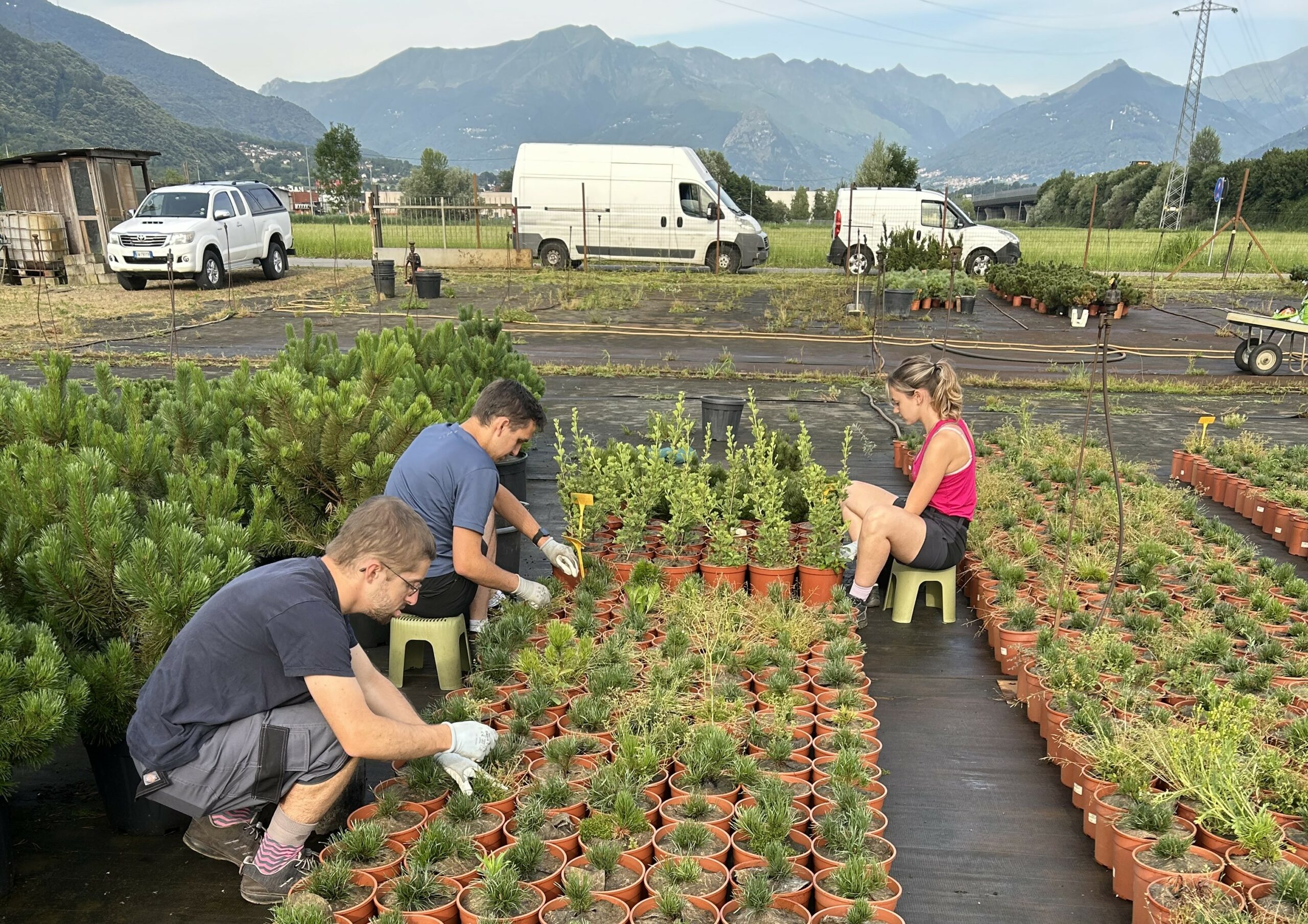« J’ai appris des techniques de bouturage très naturelles pour que les plantes résistent mieux aux maladies »